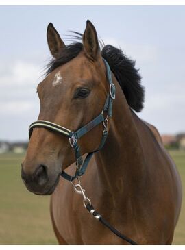 Cabezada de cuadra Equithème "Nylon Chevron" Verde Oscuro