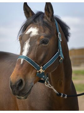 Cabezada de cuadra Equithème "Nylon Light" Verde Oscuro