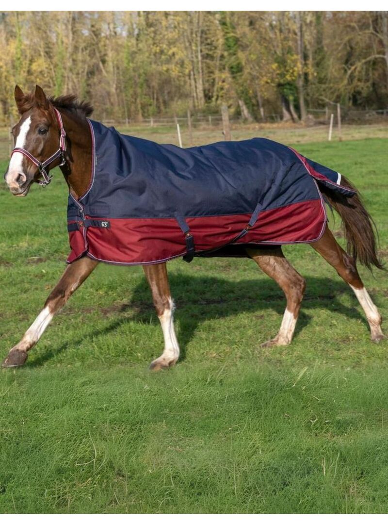 Manta de exterior impermeable Equithème 50 gr "Tyrex 1200D" Cuello Alto Marino/Burdeos
