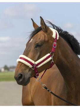 Cabezada de cuadra con borreguillo Equithème "Nylon Mouton" Burdeos/Blanco