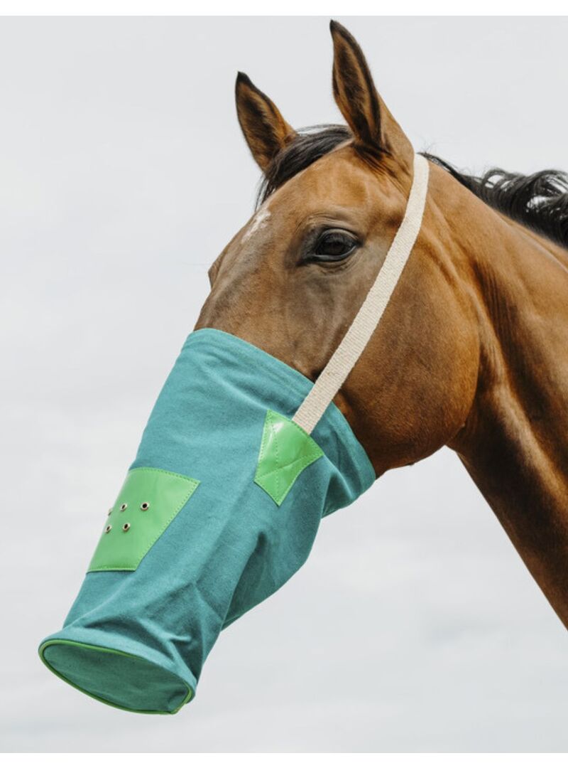 Bolsa Cebadera de Lienzo Hippotonic Verde