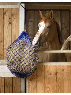 Red para Heno Hippotonic Azul