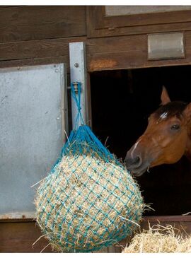 Red para Heno Hippotonic Turquesa