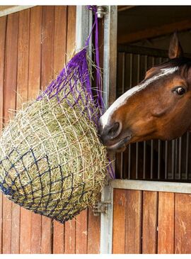 Red para Heno Hippotonic Tricolor Violeta/Beige/Marino