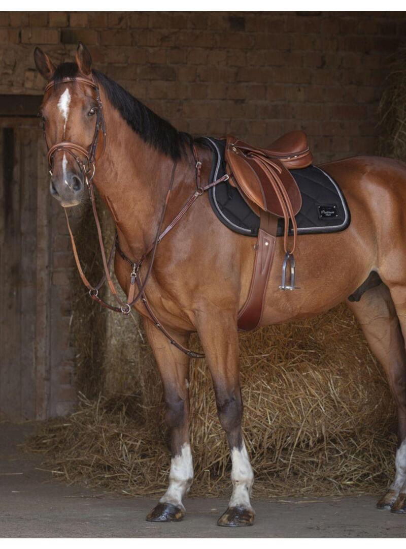 Pechopetral ERIC THOMAS HYBRID Marrón