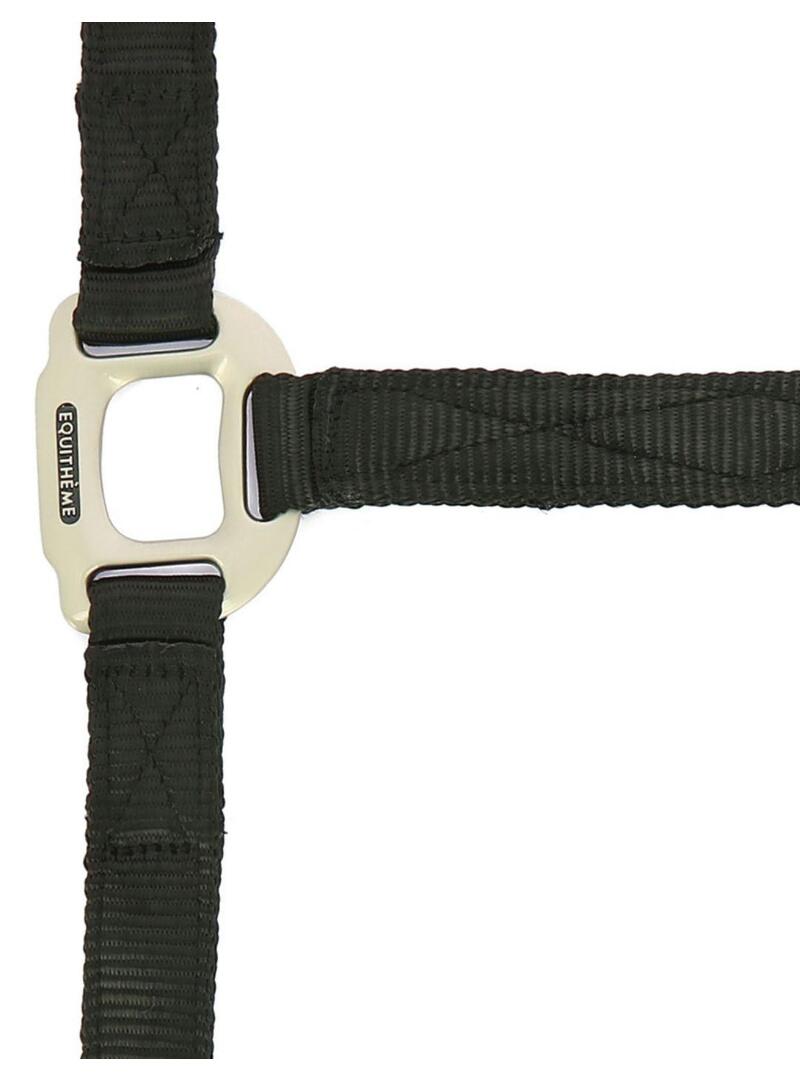 Cabezada de cuadra nylon Equithème "Nylon" Azul Royal