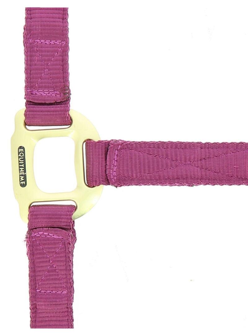 Cabezada de cuadra nylon Equithème "Nylon" Azul Royal