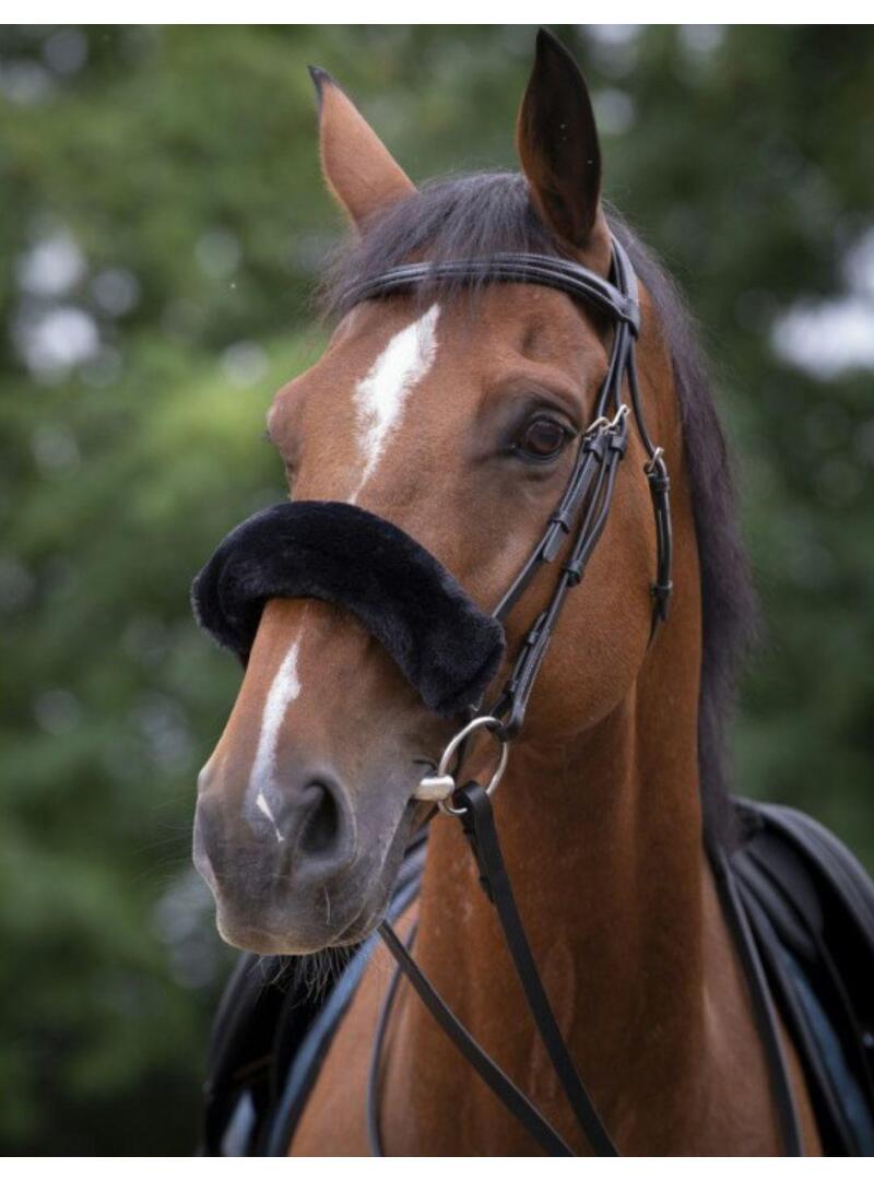 Forro muserola EQUITHÈME 'Teddy' Beige