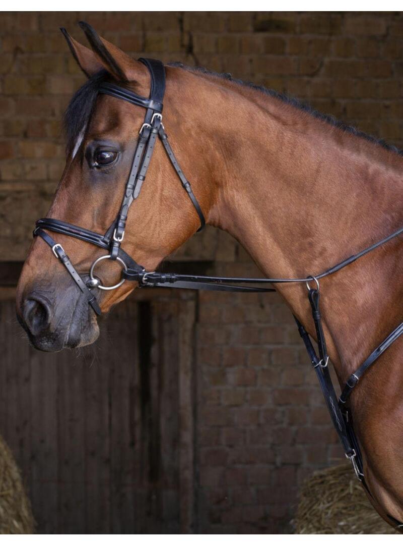 Pechopetral ERIC THOMAS HYBRID Negro