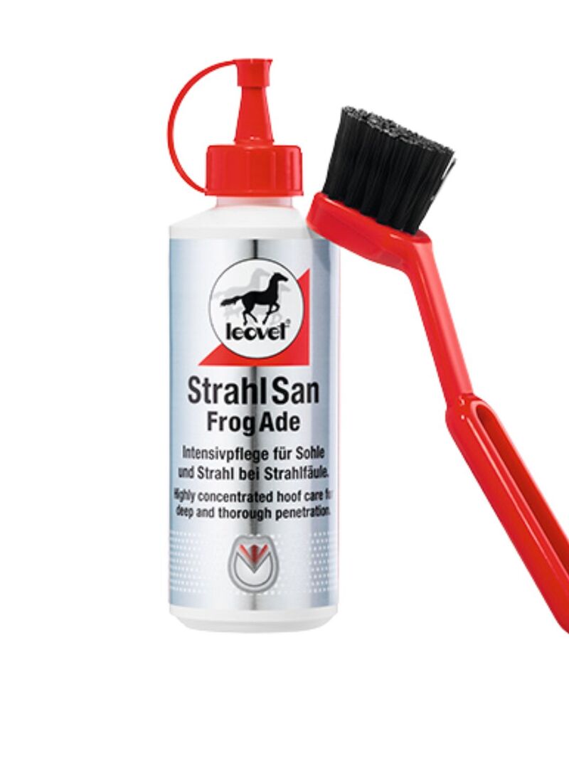 Higienizador de Cascos Leovet Frogade