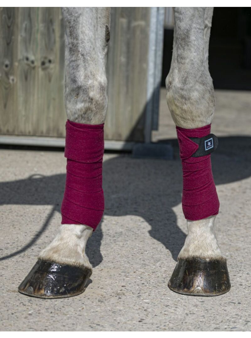 Vendas de polo RIDING WORLD 'ECO' Granate