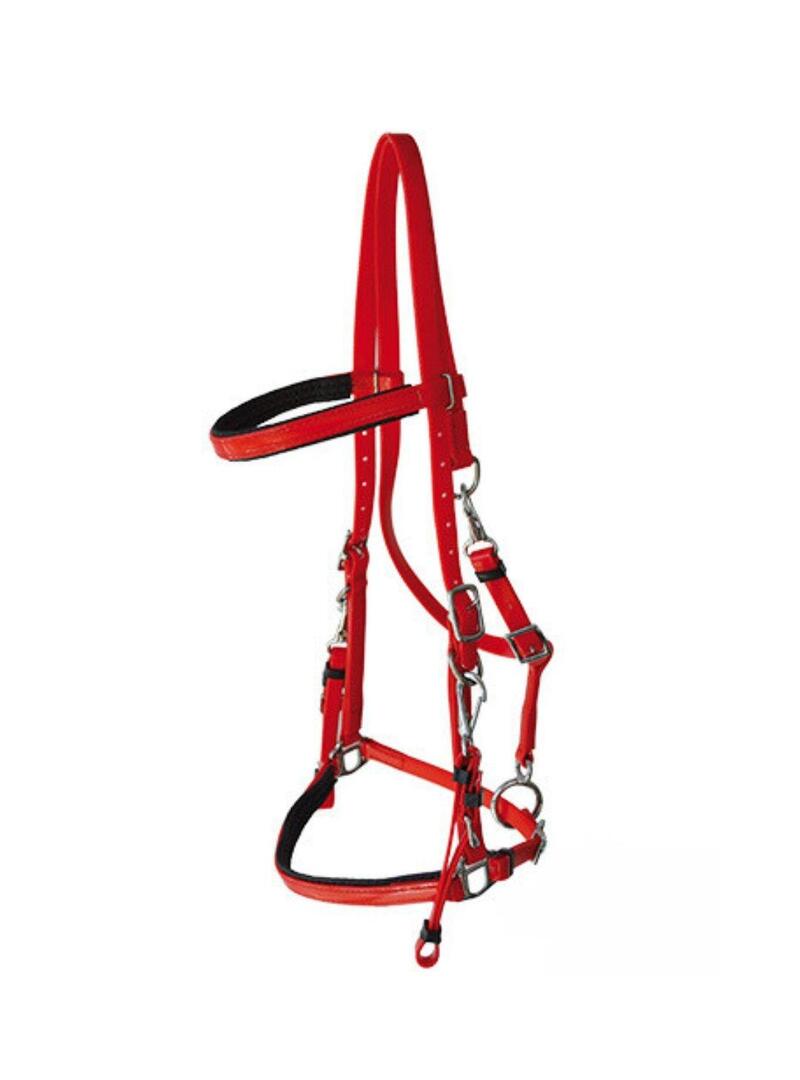 Cabezada Raid Lexhis biothane Rojo