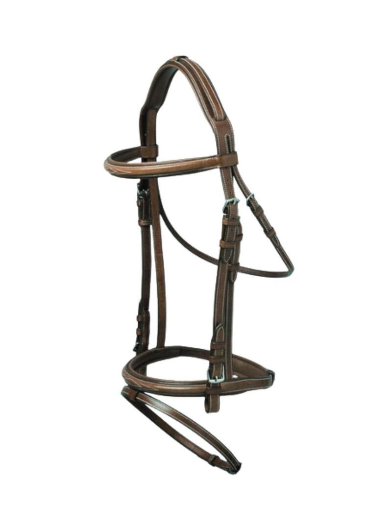 Cabezada inglesa Lexhis Green Carla Habana