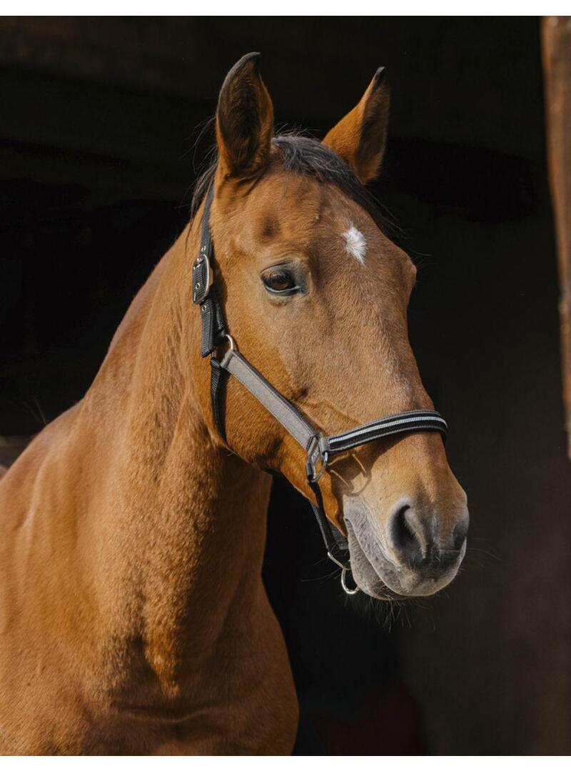 Cabezada EQUITHEME 'Domino' Cobre