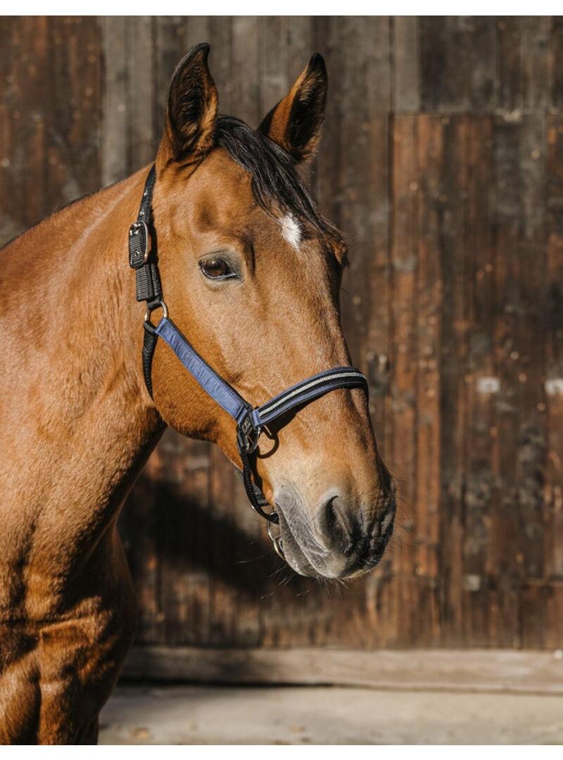 Cabezada Equithème “Domino” Azul