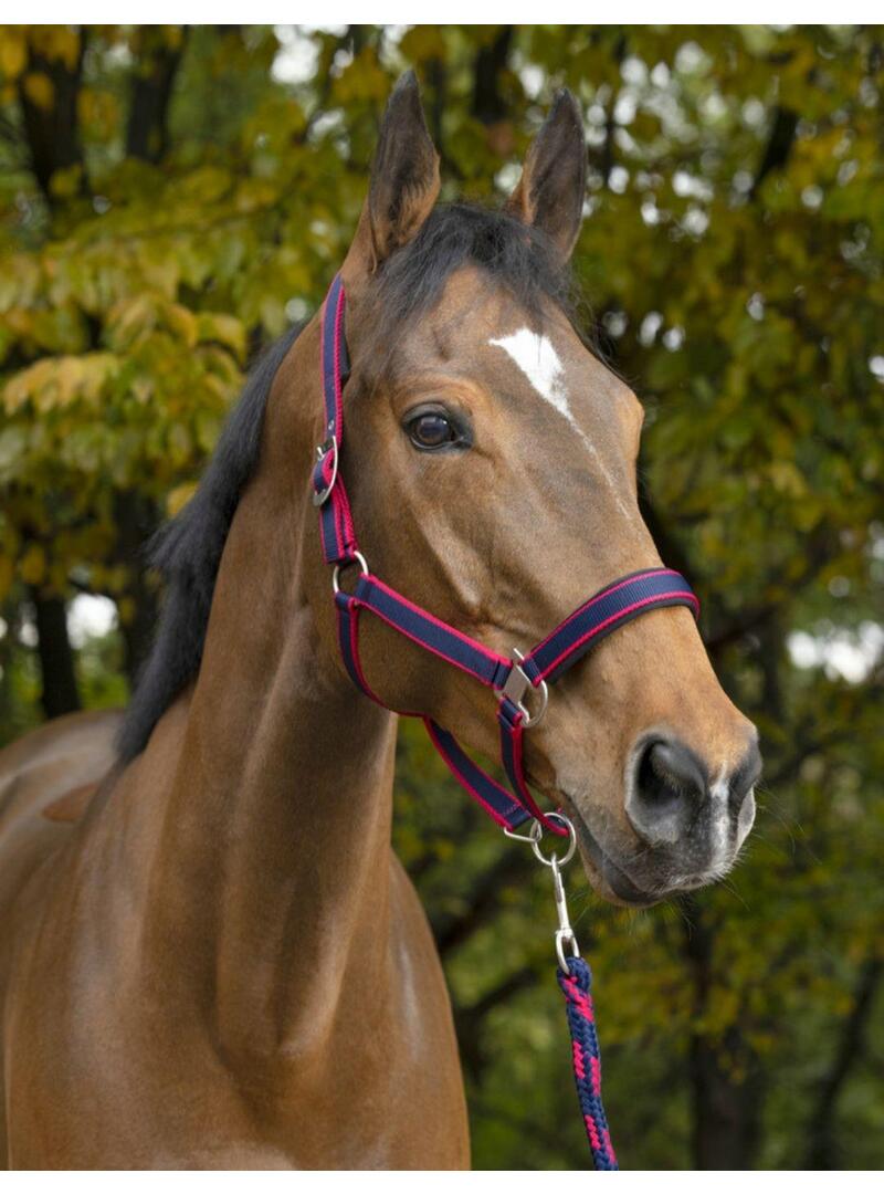 Cabezada + ramal Norton'Satine' Negro/Naranja