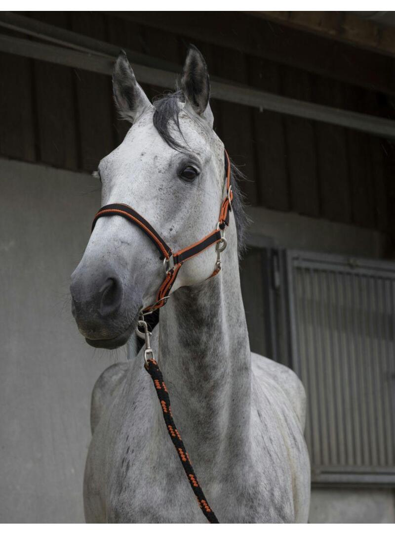 Cabezada de cuadra + Ramal Norton "Satiné" Marino/Azul Claro