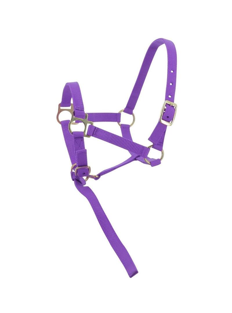 Cabezada para Potro Norton + Ramal Negro