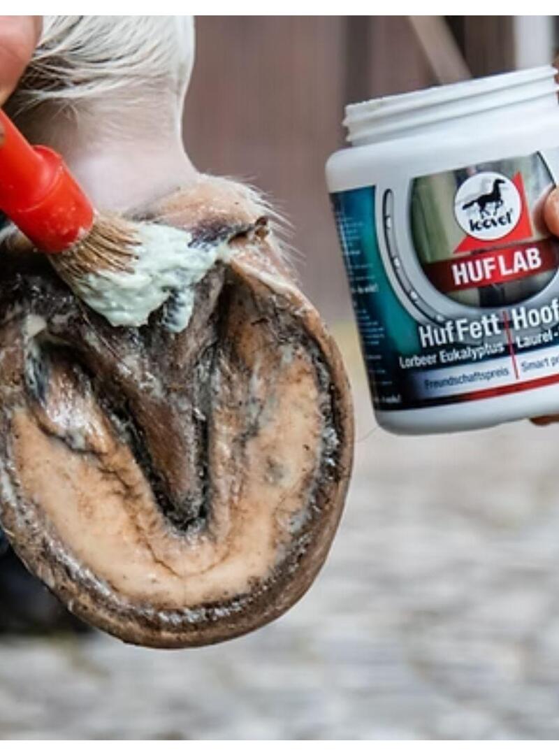 Pomada Leovet Hoof Lab para cascos