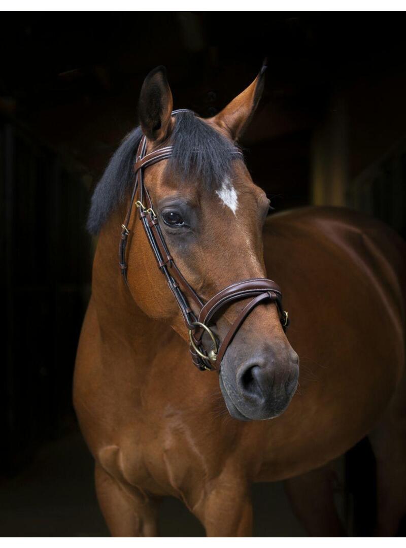 Cabezada de Montar Eric Thomas Pro Wave Havana