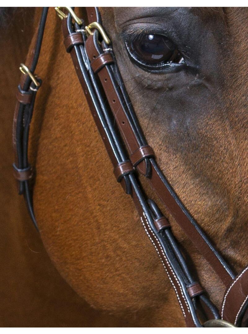 Cabezada de Montar Eric Thomas Pro Wave Havana