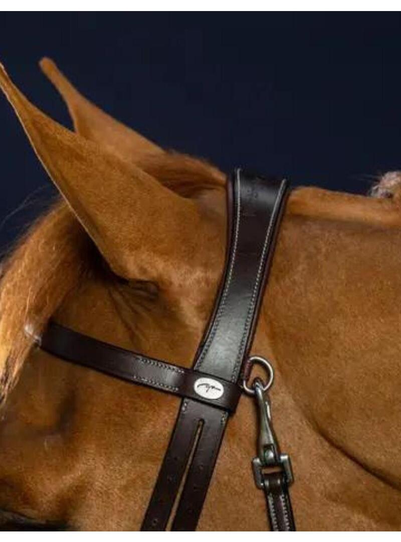 Cabezada Plana con Mosquetones DY'ON Marrón