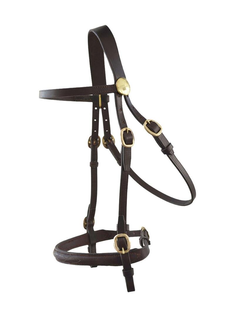 Cabezada Inglesa HH Tessa Alomada Hebillas Doradas Marrón