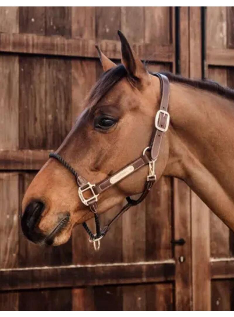 Cabezada de Cuerda y Cuero Kentucky Marrón