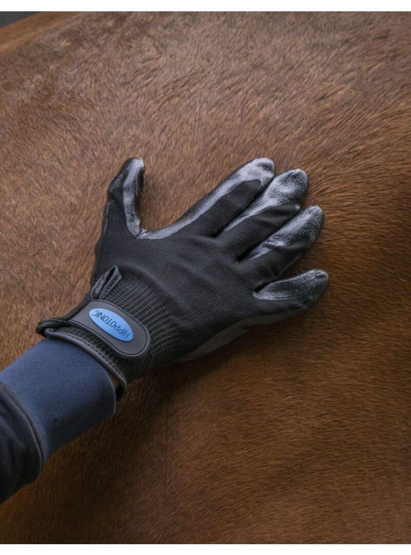 Guante de Limpieza Anti-Muda Hippotonic Negro