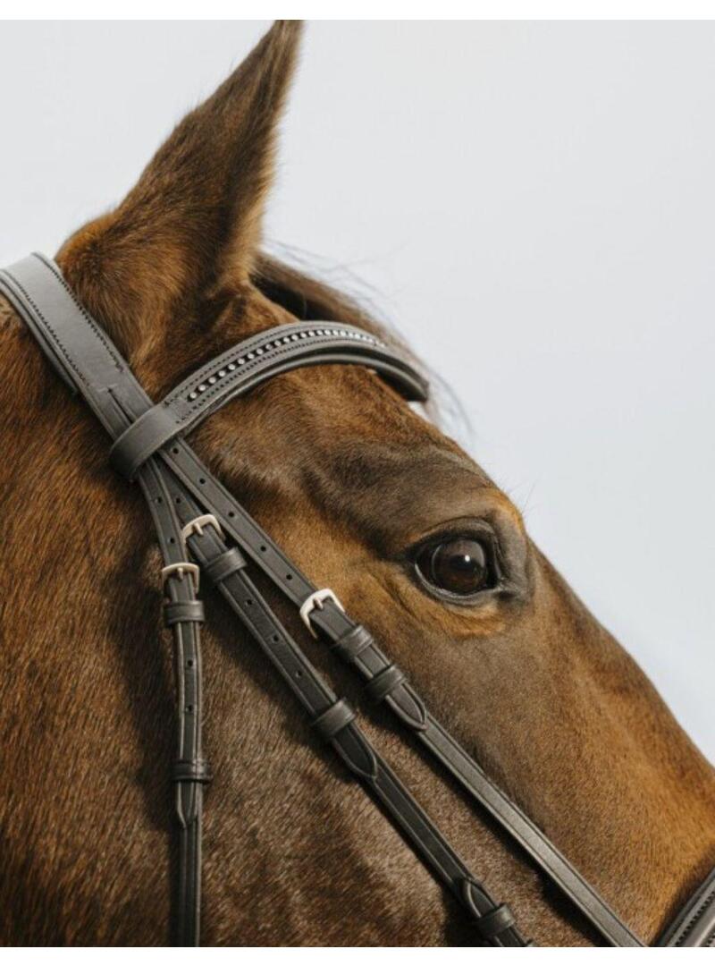 Cabezada de Montar Norton Club Strass V Negro