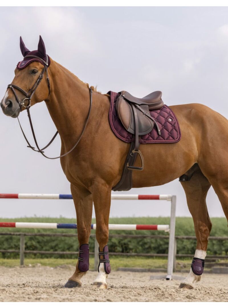 Mantilla Equithème "Oslo" Granate