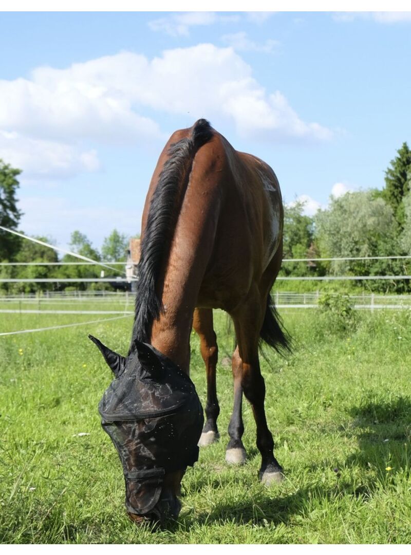 Máscara Antimoscas Equithème "Protec" Plateado