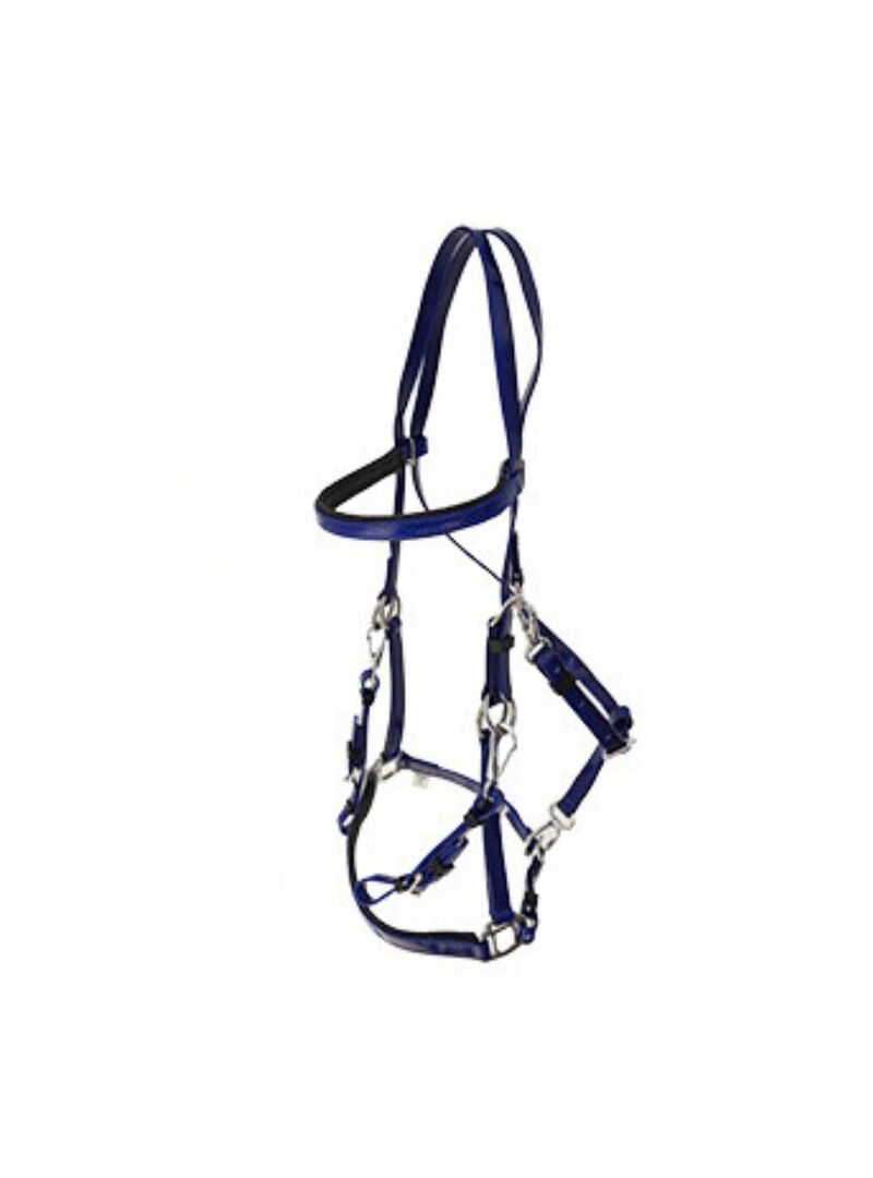 Cabezada Raid Lexhis Biothane Marino