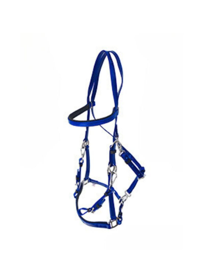 Cabezada Raid Lexhis Biothane Marino