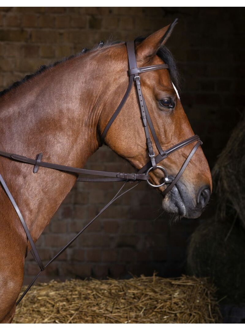 Gamarra Fija Riding World Havana