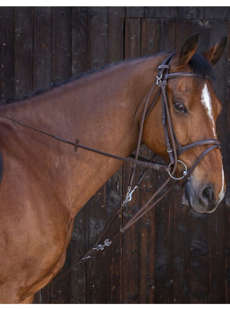 Gogue con Poleas Riding World Havana