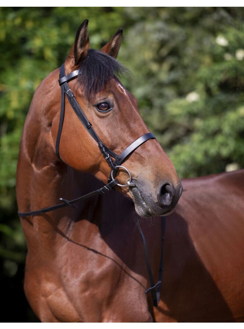 Cabezada de montar Riding World “Muserolle Francaise” Havana