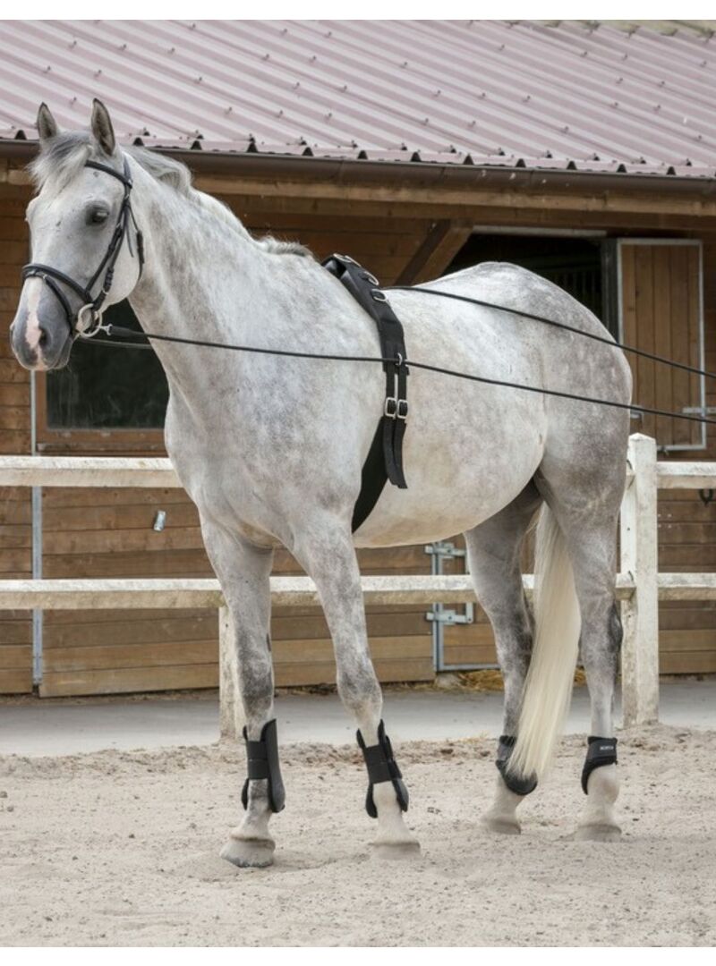 Riendas Largas de Cuero/Cuerda Riding World Negro