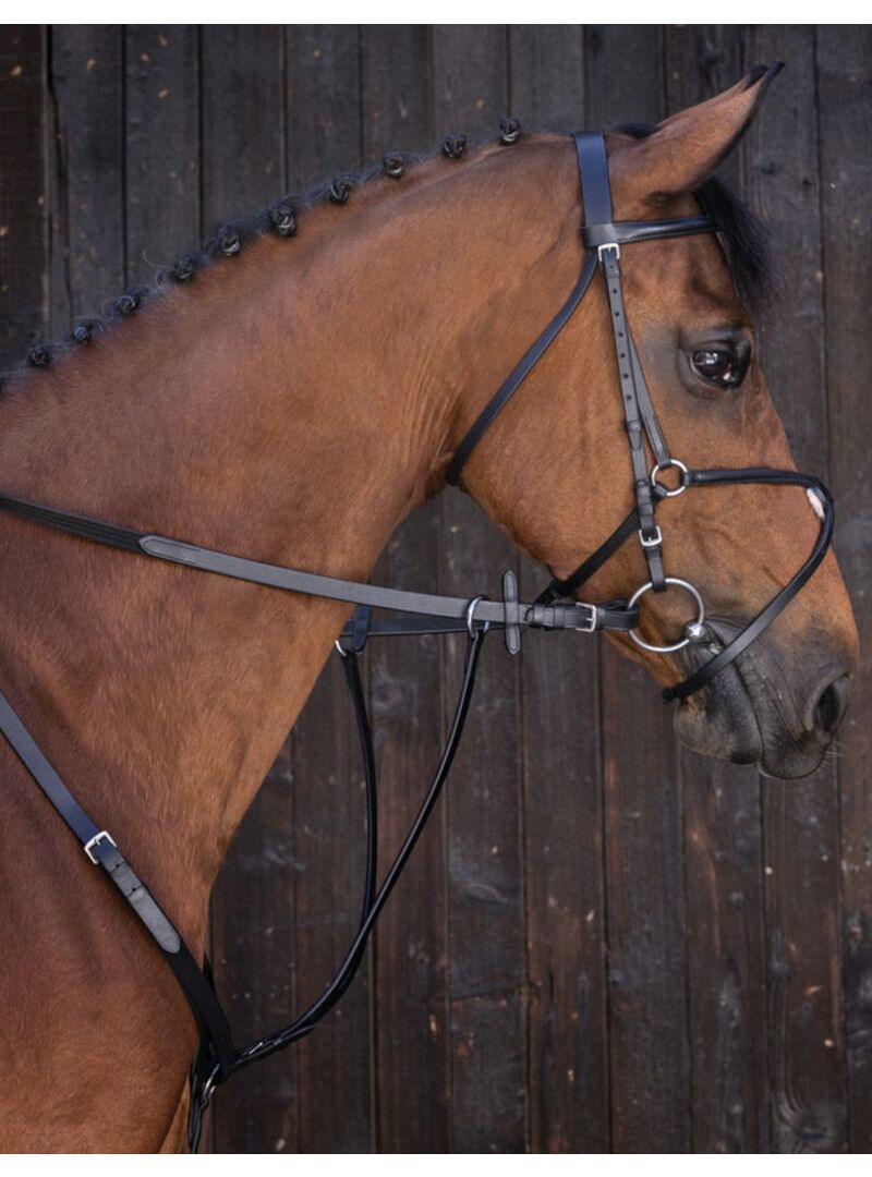 Gamarra con Anillas Riding World Negro