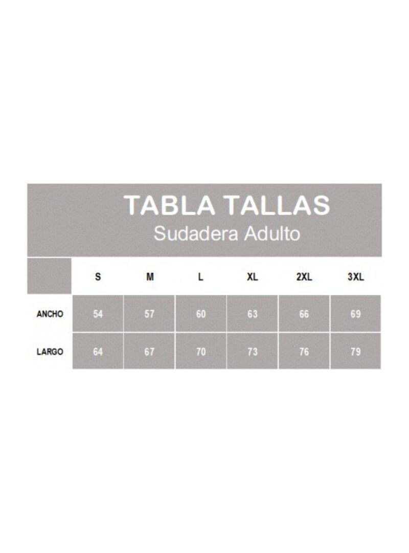 Sudadera Adulto Canguro Centro Ecuestre Pinteño Gris