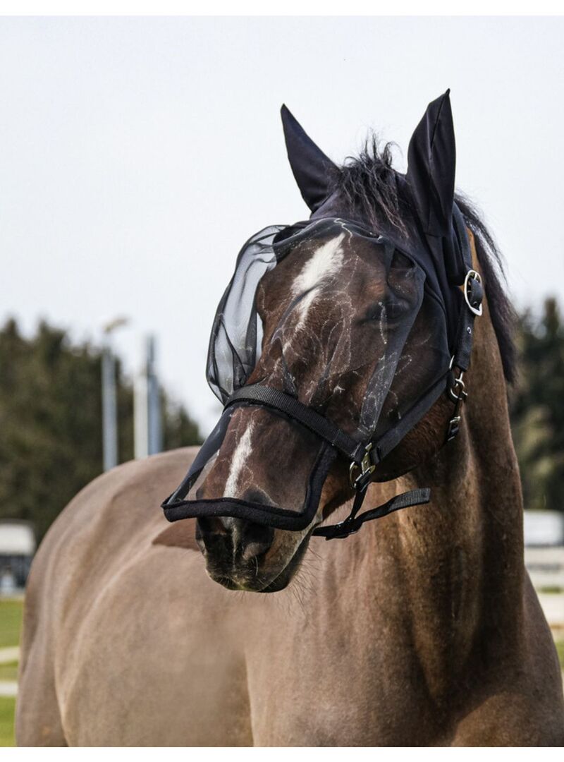Cabezada de Cuadra + Máscara anti UV Equithème Negro