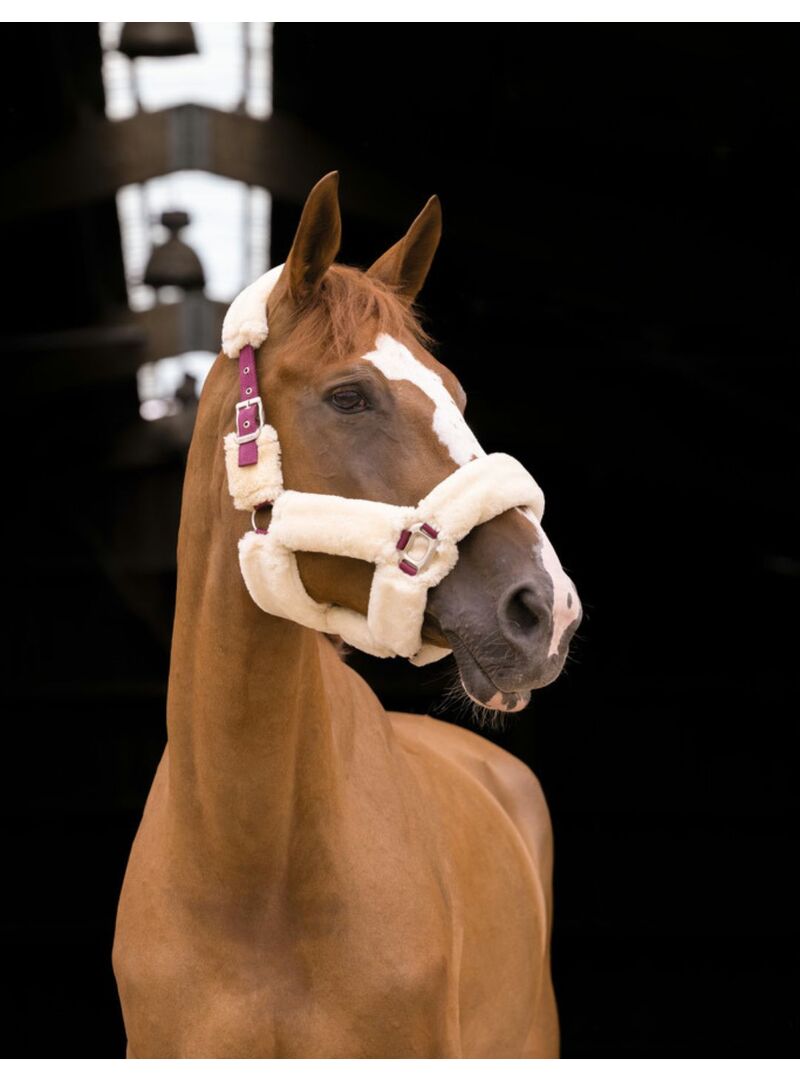 Cabezada de cuadra con borreguillo "Teddy" Negro/Marrón