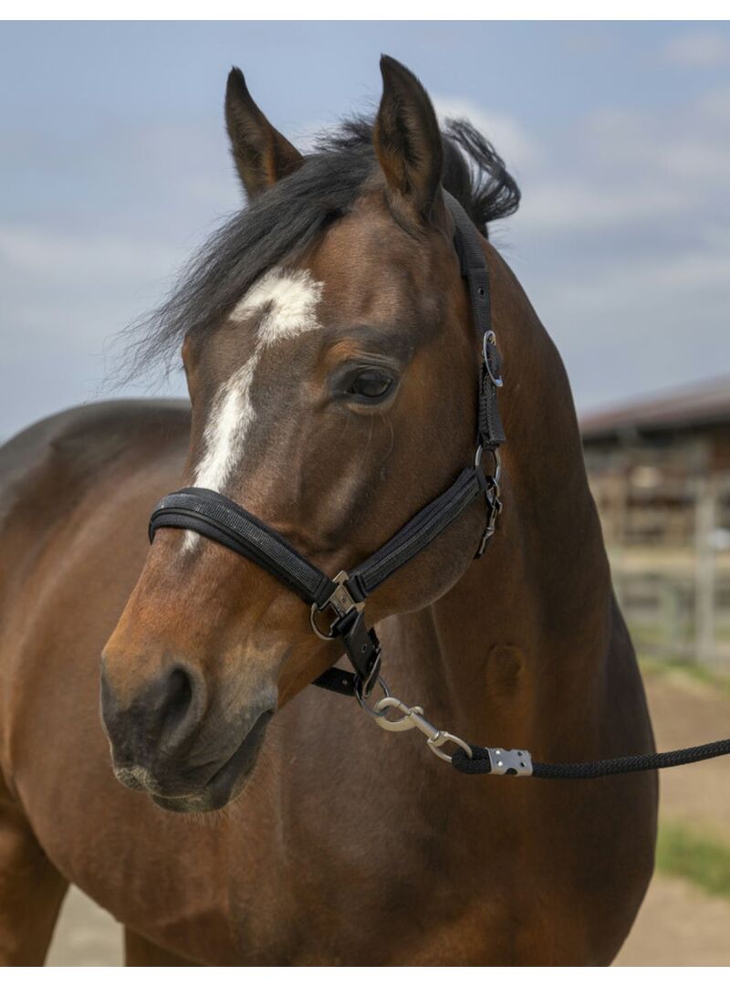 Cabezada de cuadra Equtihème "Nylon Strass" Burdeos