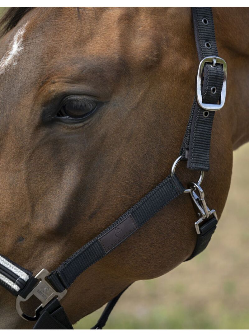 Cabezada de cuadra Equithème "Nylon Chevron" Negro