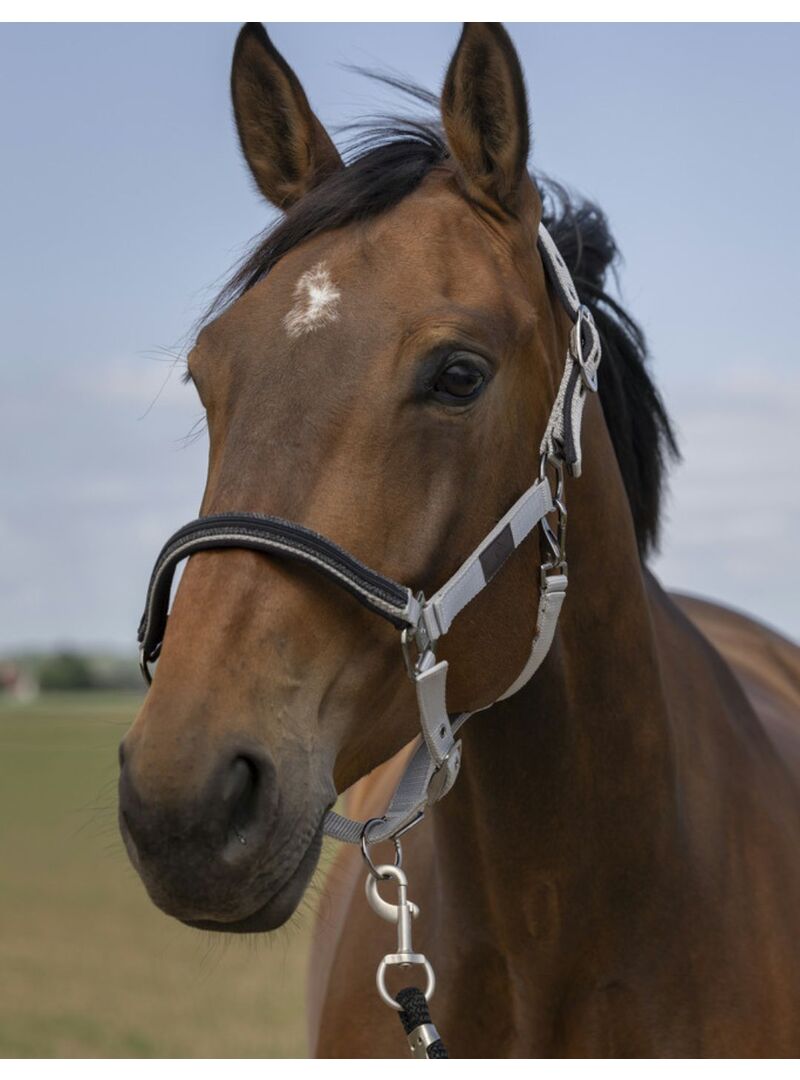 Cabezada de cuadra Equithème "Nylon Chevron" Gris Claro