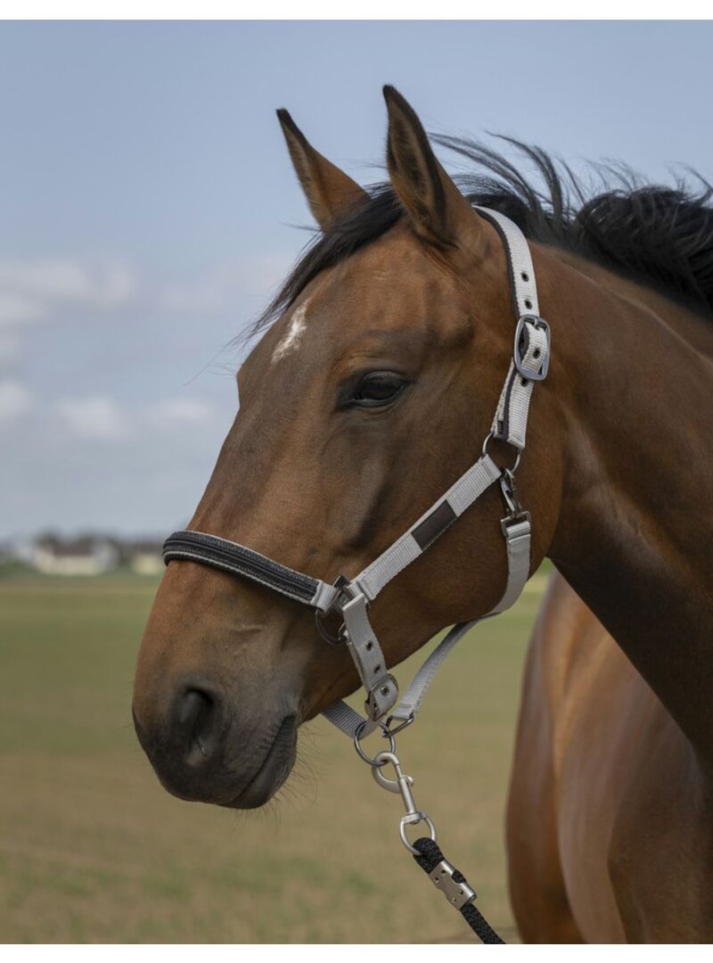 Cabezada de cuadra Equithème "Nylon Chevron" Negro