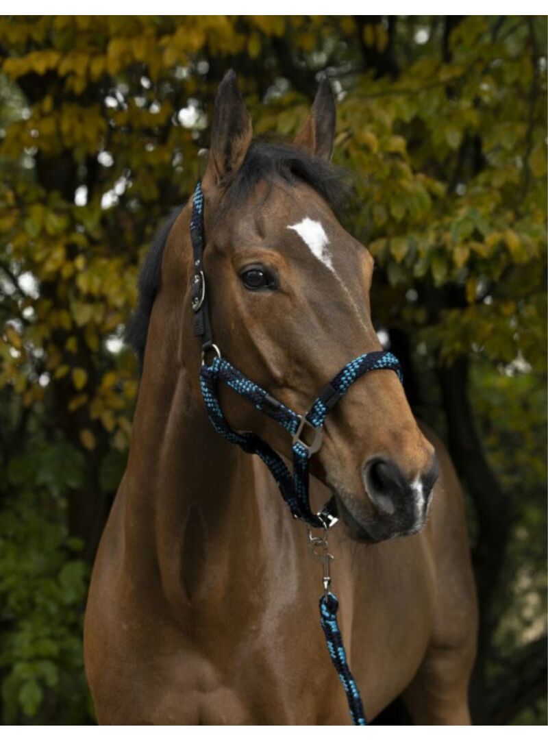 Cabezada de cuadra + Ramal Norton "Tressé" Fucsia/Azul Claro/Marino