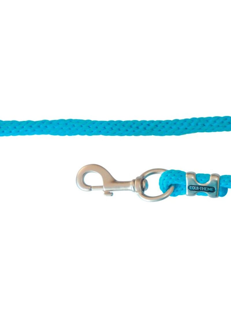 Ramal Equithème Turquesa Hebillaje Satinado Gris