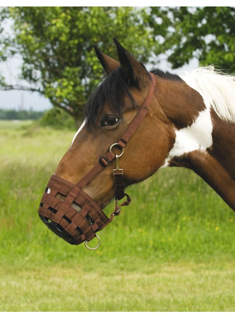 Bozal de Nylon Hippotonic Chocolate