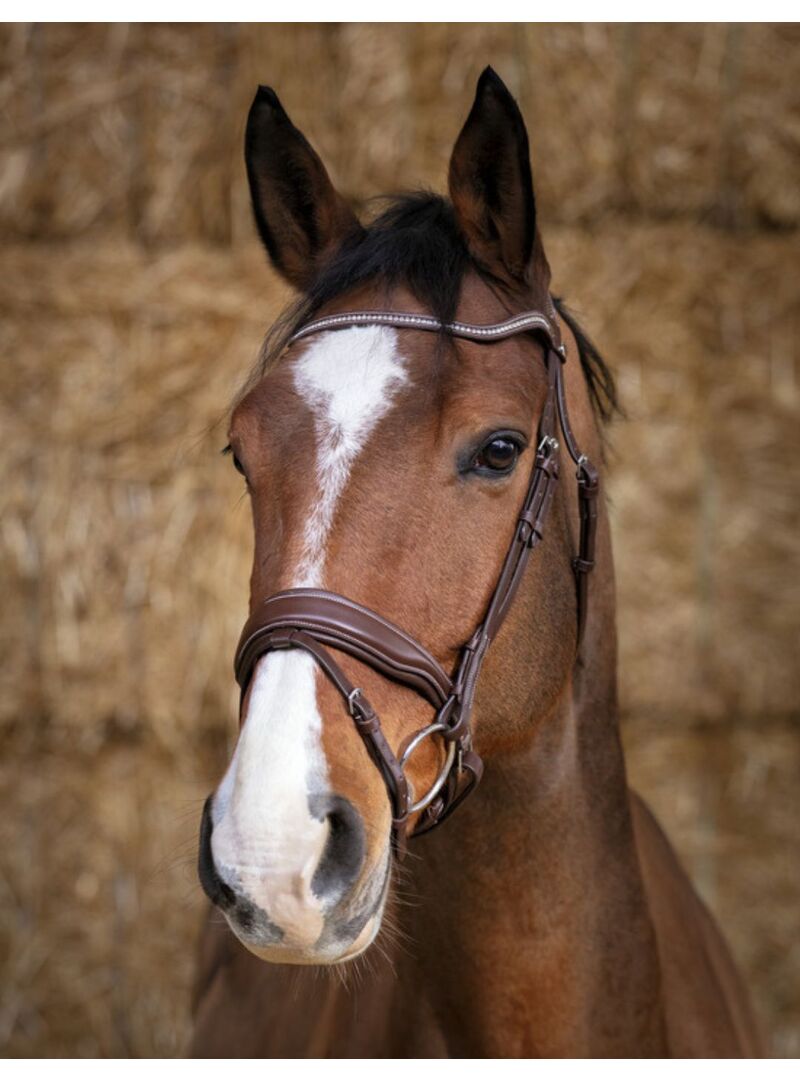 Cabezada de Montar Norton Pro “Miss” Havana